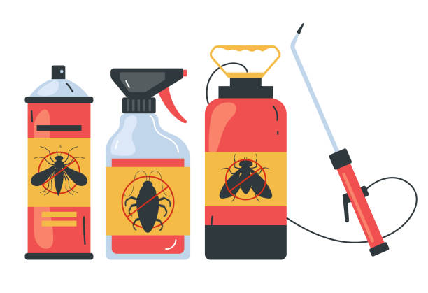 Best Wasp Removal Services  in Ocoee, FL