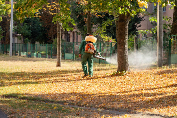 Pest Control Cost in Ocoee, FL