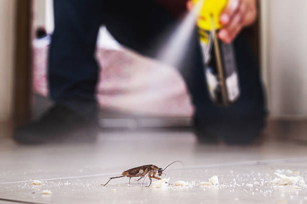 Best Best Pest Control Companies  in Ocoee, FL