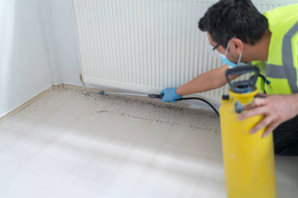 Best Best Pest Control Companies  in Ocoee, FL